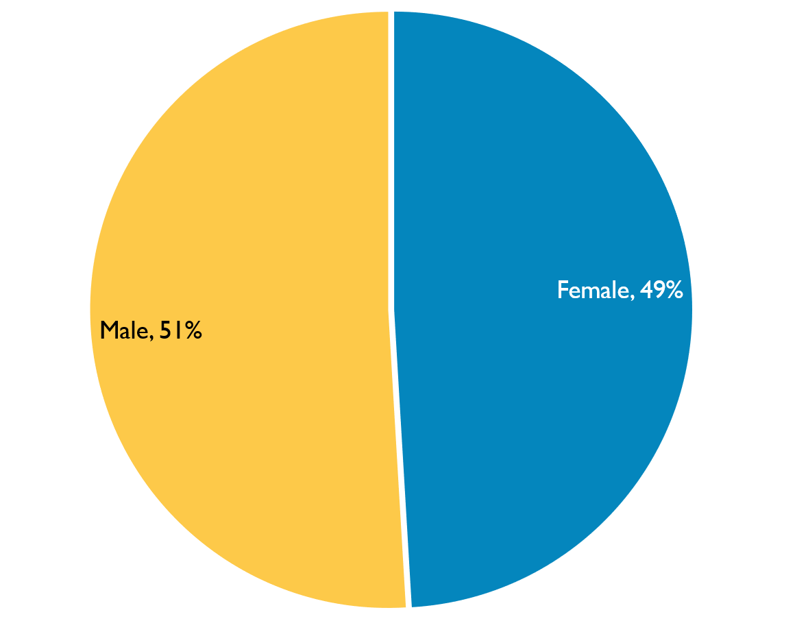 Pie chart showing gender identity of Inquiry staff, 2020. Described under 'Description for Chart 1'.